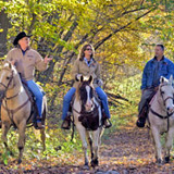 Horseback riding near Country Roads Campground