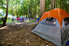 Tent Site at Country Roads Campground